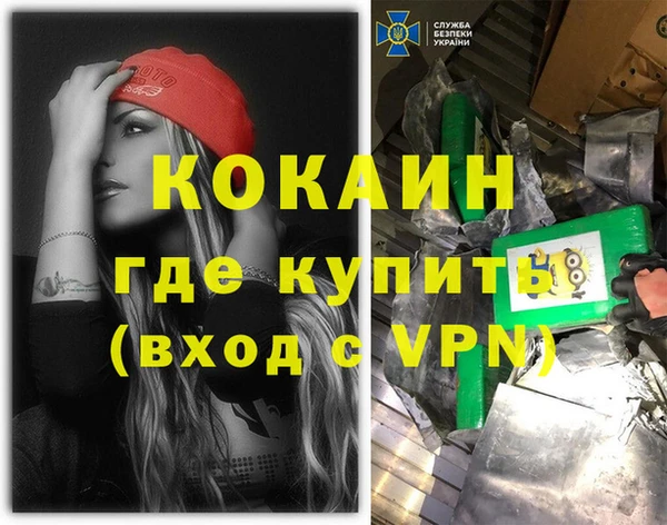 PSILOCYBIN Верея